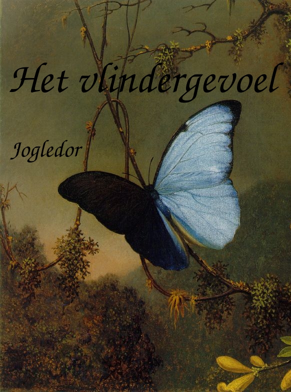 boekomslag Het vlindergevoel